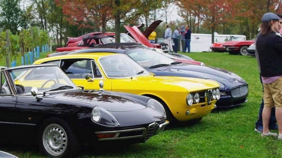 Steve Crowly's Alfa Romeo, SNO member submission