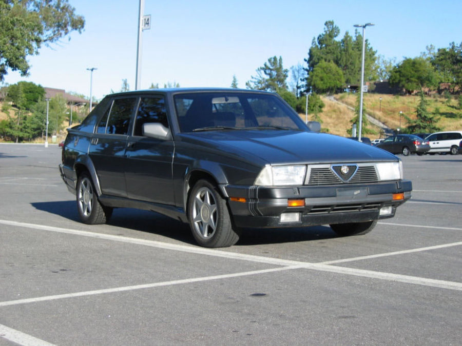 Ted's Alfa Romeo, SNO member submission
